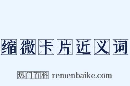 缩微卡片近义词是什么意思的图片